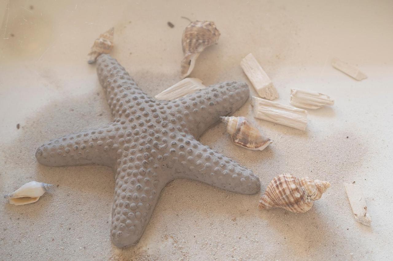 Strandfee Sommerglueck Grömitz Exteriör bild